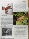 The Completely Illustrated Atlas of Reptiles and Amphibians for the Terrarium