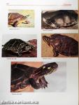 The Completely Illustrated Atlas of Reptiles and Amphibians for the Terrarium