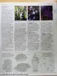 A-Z Encyclopedia of Garden Plants