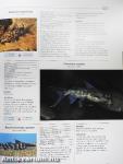 An Illustrated Encyclopedia of Aquarium Fish