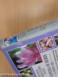 Encyclopedia of Herbs & Their Uses