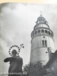 Ein Steinerner Traum des Mittelalters