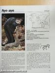 National Geographic Book of Mammals