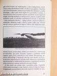 A Luftwaffe szupertitkos fejlesztései