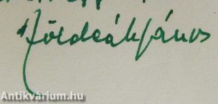 Lázongók (dedikált példány)