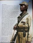 Amerika hadba lép