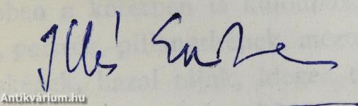 Szigorlat (dedikált példány)