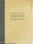 Erdő mező virágai