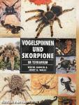 Vogelspinnen und Skorpione im Terrarium