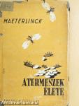A termeszek élete