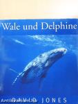 Wale und Delphine