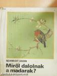 Miről dalolnak a madarak?