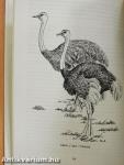 A Field Guide to the Birds of East Africa