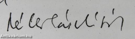 Szőregi délutánok (dedikált példány)