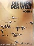 Vögel 1.