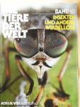 Insekten und Andere Wirbellose