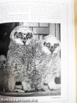 Understanding OWLS