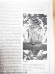 Understanding OWLS