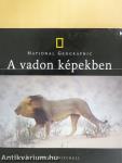 A vadon képekben