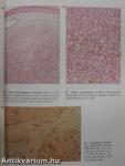A Colour Atlas of AIDS