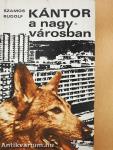 Kántor a nagyvárosban