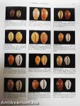 Compendium of Seashells