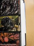 National Audubon Society Field Guide to North American Seashore Creatures