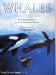 Whales and Dolphins