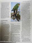 Das Papageien-Buch