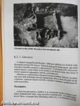 Fejezetek Lendva történetéből 1920-ig (dedikált példány)