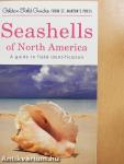 Seashells of North America