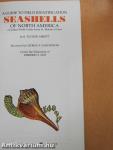 Seashells of North America