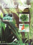Indoor Ferns