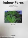Indoor Ferns