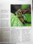 The Encyclopedia of Insects