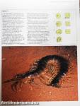 The Encyclopedia of Insects