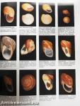Compendium of Landshells