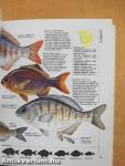 The Angler's Guide to Fish