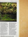 A Petkeeper's Guide to Reptiles & Amphibians