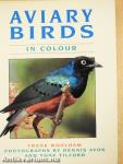 Aviary Birds in Colour