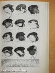 A Field Guide to the Mammals of Africa