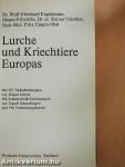 Lurche und Kriechtiere Europas