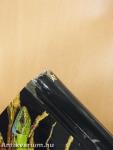 Lurche und Kriechtiere Europas