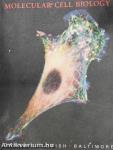 Molecular Cell Biology