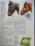 The Complete Guide to Horse & Pony Care