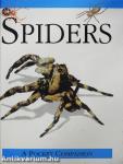 Spiders
