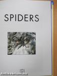 Spiders