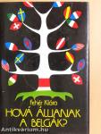 Hová álljanak a belgák?