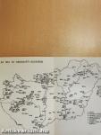 Régészeti füzetek 1988/41.