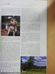 Hungarian Golf Magazin & Kincses Kalendárium 2019